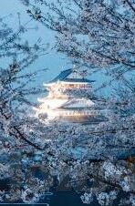 不登录不收费大象传媒-大象传媒的透明原则，无登录，不收费的诚信之道