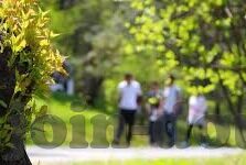 大象传媒黄app官方-探索大象传媒黄app官方，数字时代的文化传播新视角