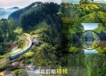国产一区二区三区在线观看-国产一区二区三区，网络文化与内容消费的多元化探索
