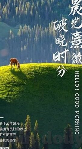 麻豆日记APp-麻豆日记APP的精彩瞬间与日常——探寻独特的个人记录工具