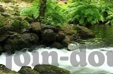 糖心视频app是哪个公司-解码新兴娱乐风潮，揭秘糖心视频的背后力量